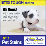 pet stains