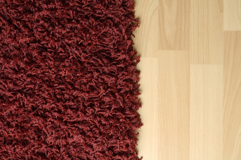 rug and hardwood floor
