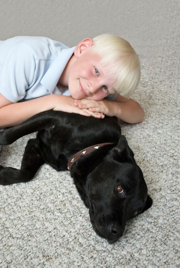 boy with dog carpet