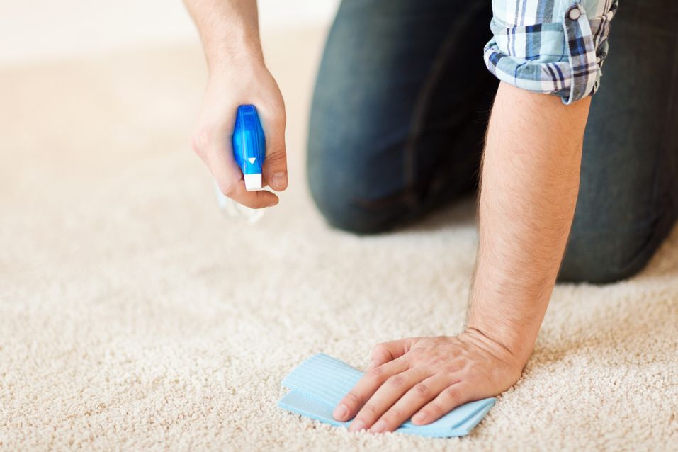 hand spray cleaning carpet