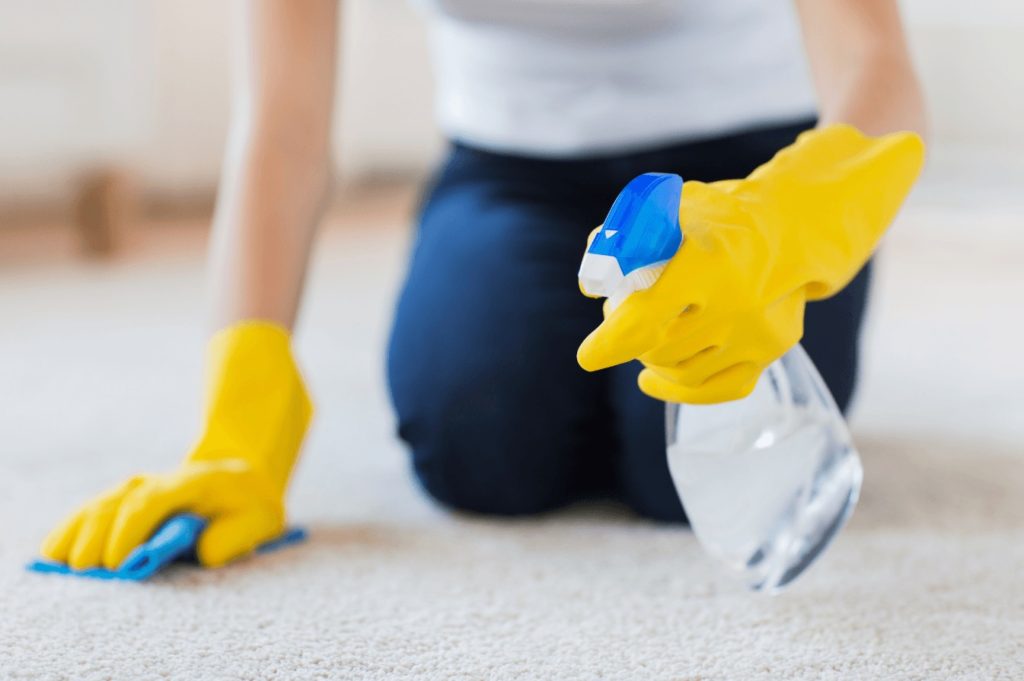 cleaning carpet with spray bottle